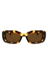 Bcbg 49mm Twist Oval Sunglasses In Brown