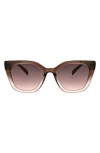 Bcbg 52mm Modern Square Sunglasses In Brown Rose Ombre