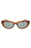 Bcbg 54mm Cat Eye Sunglasses In Brown