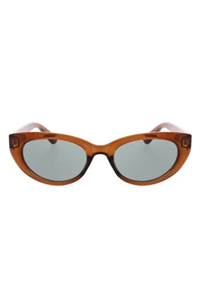 Bcbg 54mm Cat Eye Sunglasses In Brown