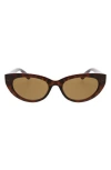 Bcbg 54mm Cat Eye Sunglasses In Brown
