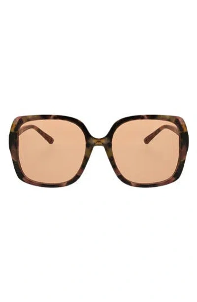 Bcbg 54mm Oversized Square Sunglasses In White