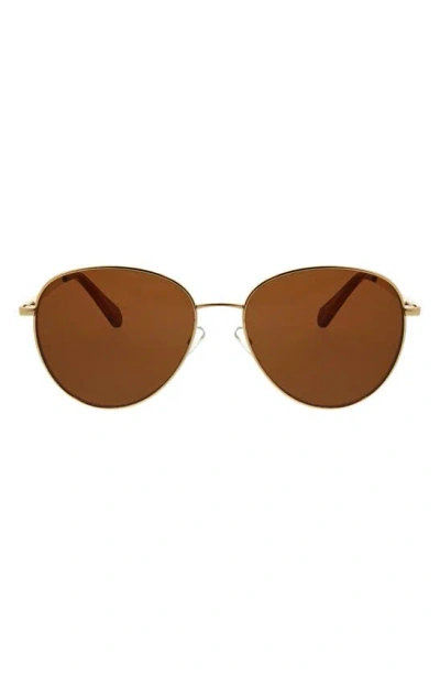 Bcbg 56mm Aviator Sunglasses In Brown