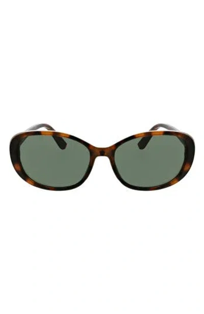 Bcbg '90s 38mm Oval Sunglasses In Brown