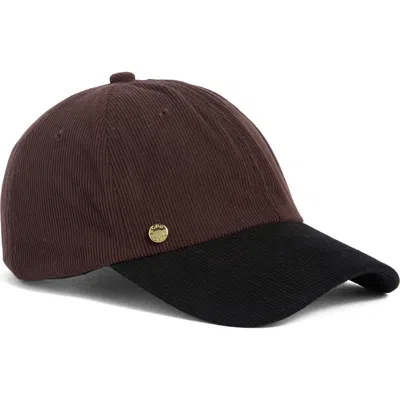 Bcbg Colorblocked Corduroy Baseball Cap In Chocolate