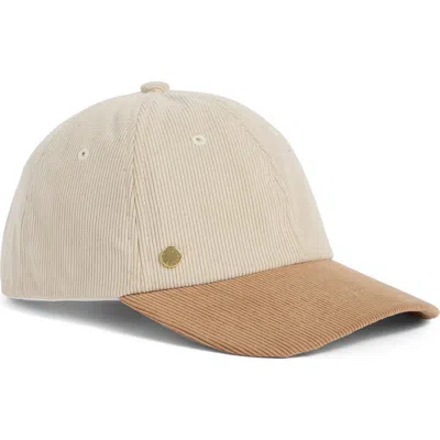 Bcbg Colorblocked Corduroy Baseball Cap In Oat