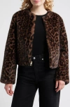 Bcbg Faux Shearling Crop Jacket In Brown
