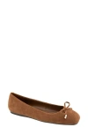 Bcbg Hartly Bow Ballet Flat In Brown