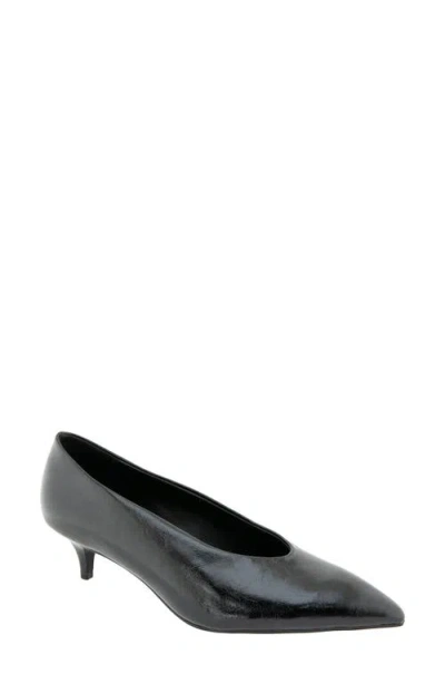 Bcbg Pacsin Pointed Toe Kitten Heel Pump In Black