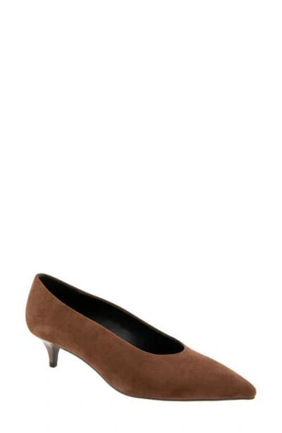 Bcbg Pacsin Pointed Toe Kitten Heel Pump In Brown