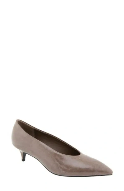 Bcbg Pacsin Pointed Toe Kitten Heel Pump In Brown