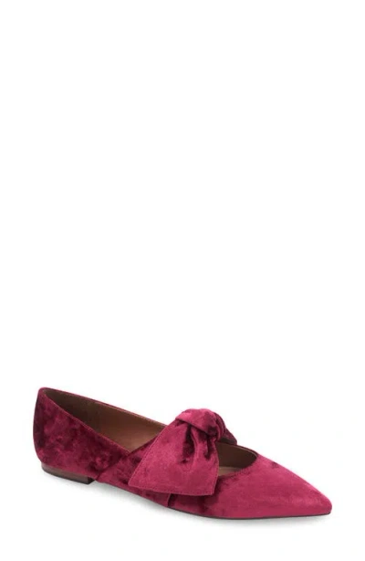 Bcbg Prely Mary Jane Pointed Toe Flat In Bordeaux