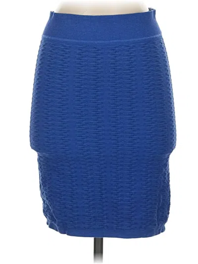 Pre-owned Bcbgeneration Casual Skirt In Blue