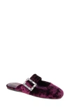 Bcbgeneration Women's Hope Square Toe Buckle Slide Flat Mules In Wine Velvet