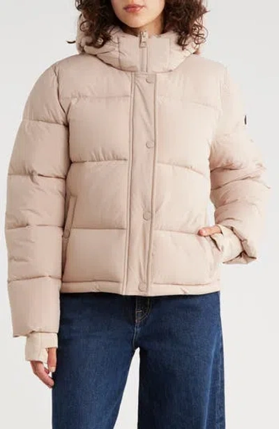 Bcbgeneration Missy Hooded Water Resistant Crop Puffer Jacket In Neutral
