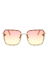 Bcbgmaxazria 52mm Beveled Square Sunglasses In Gold