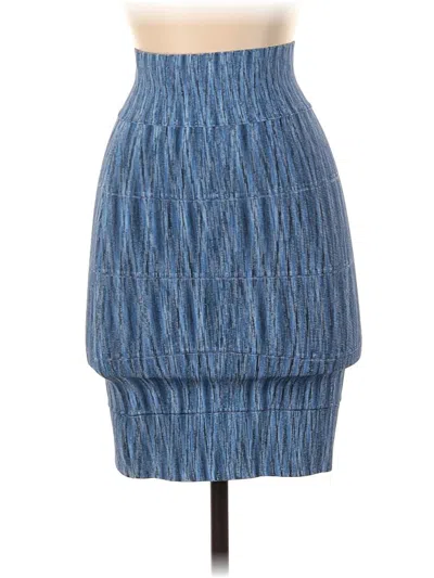 Pre-owned Bcbgmaxazria Casual Skirt In Blue