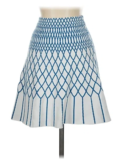 Pre-owned Bcbgmaxazria Casual Skirt In Blue