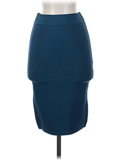 Pre-owned Bcbgmaxazria Casual Skirt In Blue