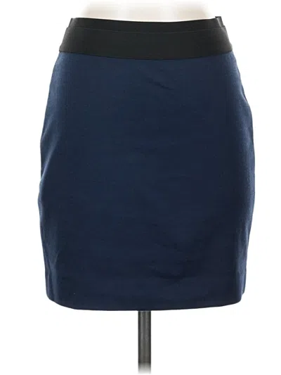 Pre-owned Bcbgmaxazria Casual Skirt In Blue