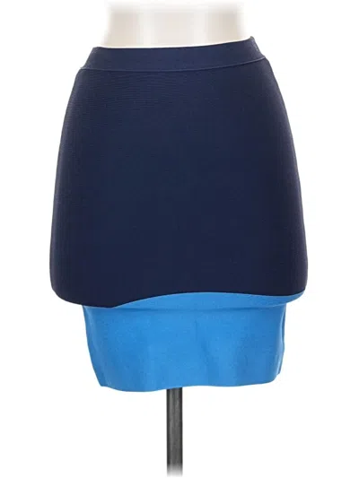 Pre-owned Bcbgmaxazria Casual Skirt In Blue