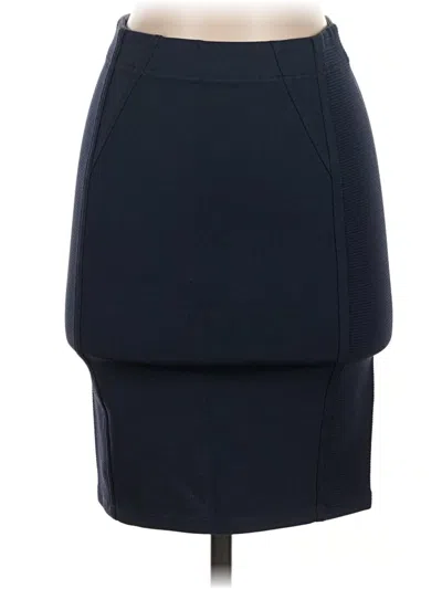 Pre-owned Bcbgmaxazria Casual Skirt In Blue
