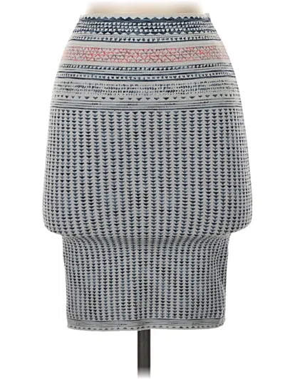 Pre-owned Bcbgmaxazria Casual Skirt In Gray