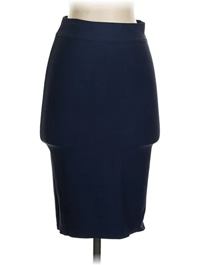 Pre-owned Bcbgmaxazria Formal Skirt In Blue