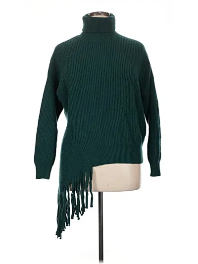 Pre-owned Bcbgmaxazria Turtleneck Sweater In Green
