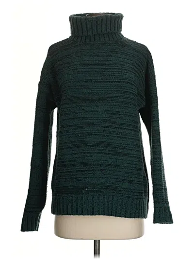 Pre-owned Bcbgmaxazria Turtleneck Sweater In Green