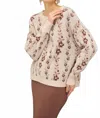 Be Cool Antosh Sweater In Brown In Brown