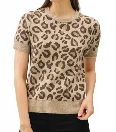 Be Cool Leopard Print Wool Blend Knit Top In Mocha In Animal Print