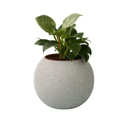 Be Home Atallo Cement Planter In Gray