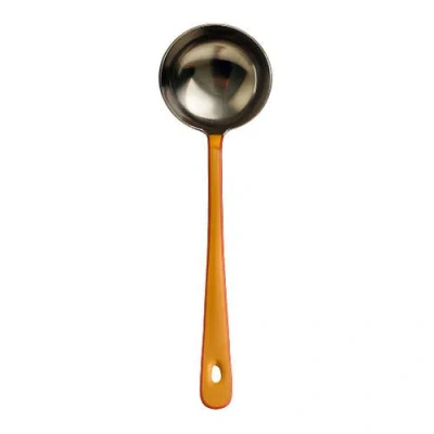 Be Home Harlow Bright Ladle With Stainless Steel Head In Brown