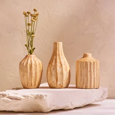 Be Home Kiln Mango Carved Mini Vases, Set Of 3 In Beige