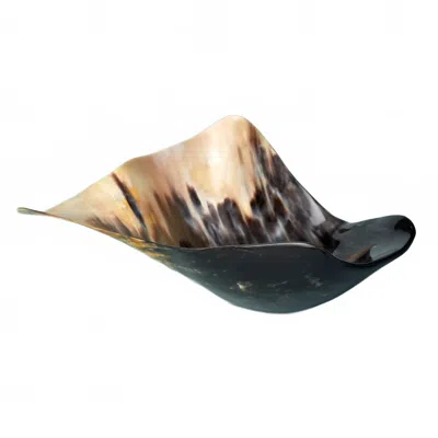 Be Home Organic Horn Shape Bowl In Black