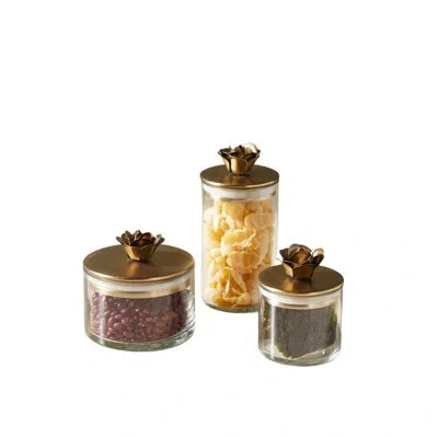 Be Home Rose Botanical Canister, Set Of 3 In Clear