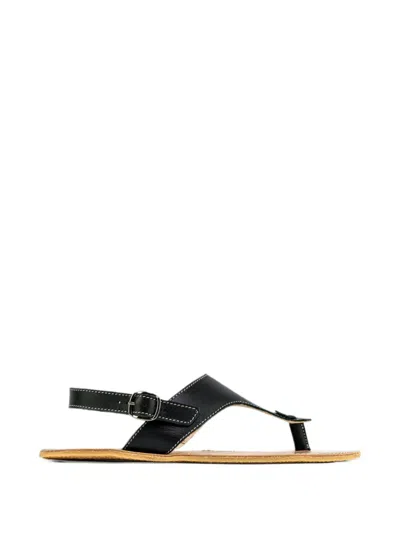 Be Lenka Buckle-fastening Sandals In Black