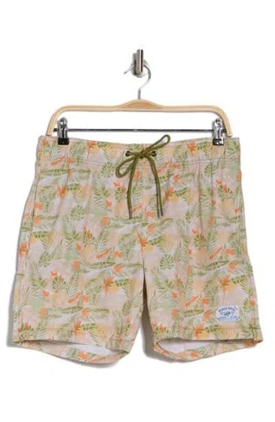 Beach Bros Dried Rhapsody Swim Trunks In Tan