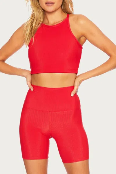 Beach Riot Bike Short In Red