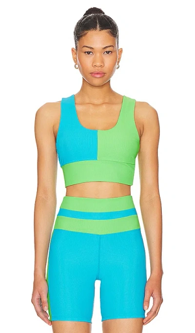 Beach Riot Carina Top In Palm Green Colorblock