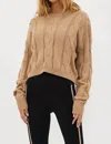 Beach Riot Clarice Cotton Cable Stitch Sweater In Multi