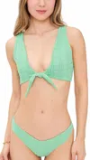 Beach Riot Dallas Bikini Top In Sage Bloom Jacquard In Green