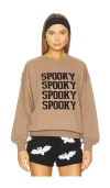 Beach Riot Devyn Oversized Sweatshirt In Brown