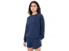Beach Riot Devyn Oversized Sweatshirt Women's Sweatshirt Star Spangled Seas: Md In Multi
