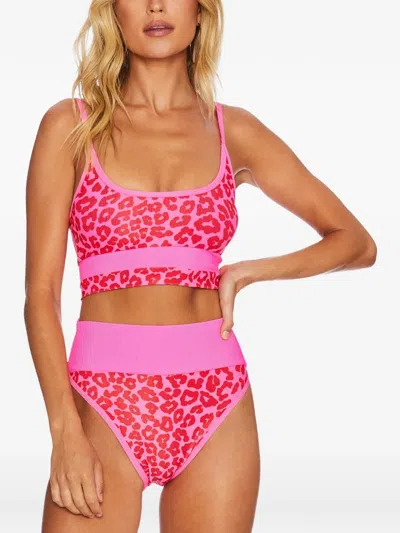 Beach Riot Eva Animal-pattern Bikini Top In Pink