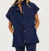 Beach Riot Glenn Quilted Puffer Vest In Ultramarine Blue In Multi