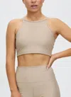Beach Riot Glitter Anna Top In Taupe In Gray