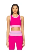 Beach Riot Gwen Colorblock Racerback Sports Bra In Raspberry Colorblock
