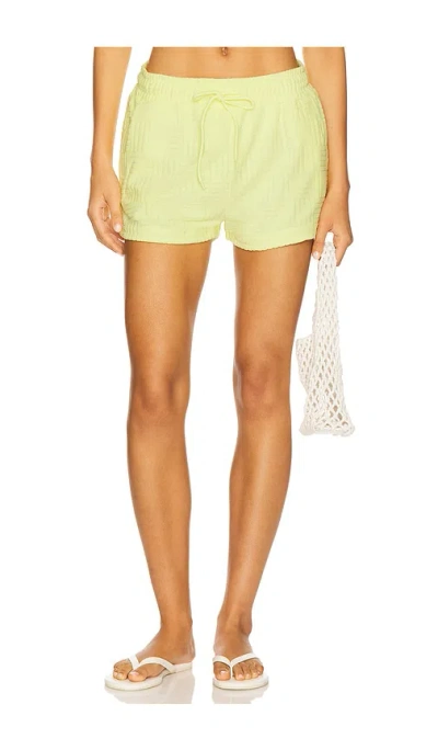 Beach Riot Kiara Short In Green